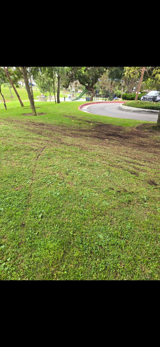 EatLiveHealthy1's tweet photo. @NewportBeachPD We have called when they are doing jumps at the park on 5th Ave and Marguerite,  they have destroyed parts of the Park, when the police shows up,they take off..you need police in bikes that are good riders to catch them. https://t.co/jZdgAQHdbM