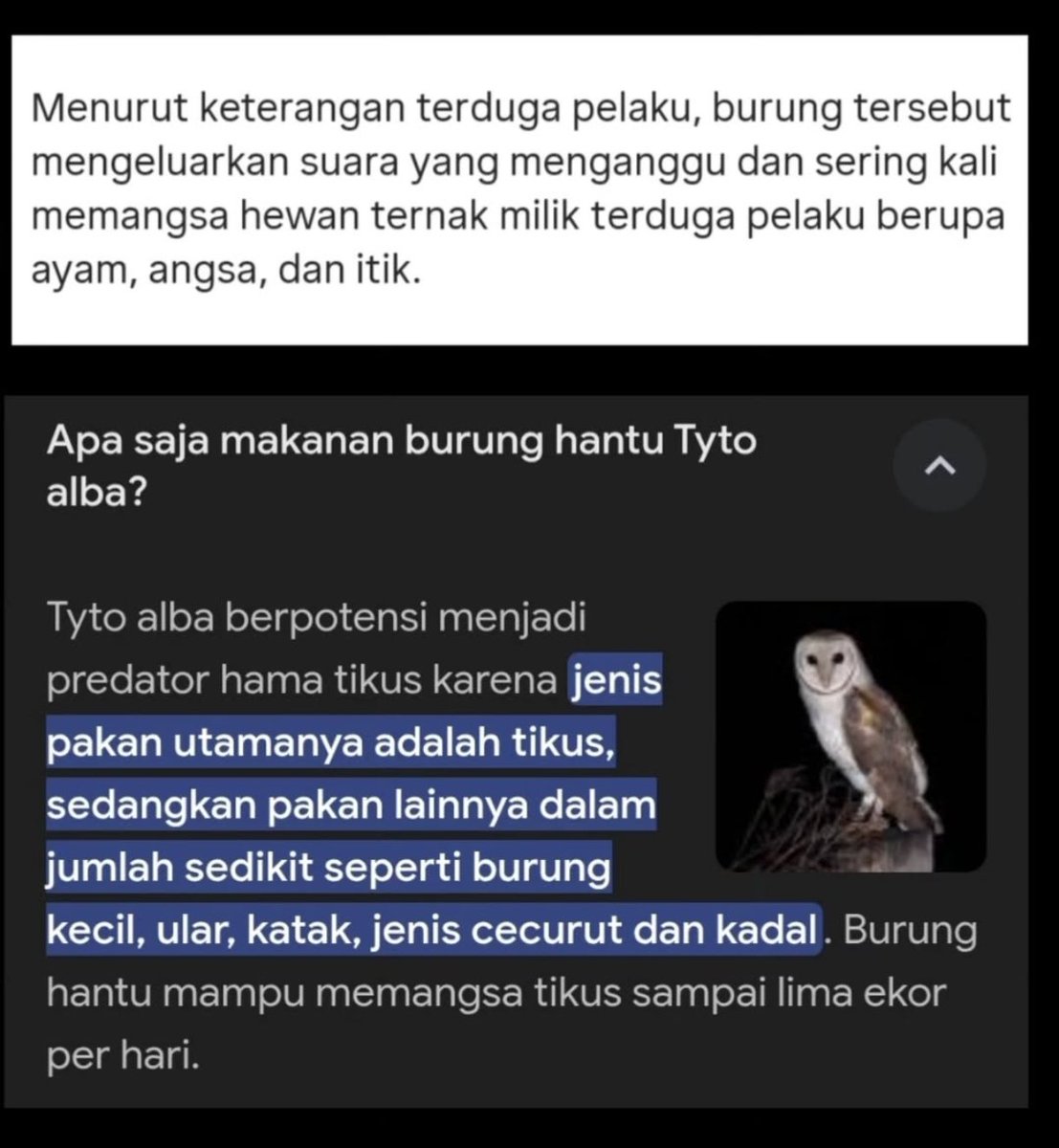 adek ini dibunuh dua kali. dianya dibunuh, dibunuh juga namanya.

agaknya sama dengan salah satu kejadian ya bang <a href="/pandji/">Pandji Pragiwaksono</a> 🙂‍↔️