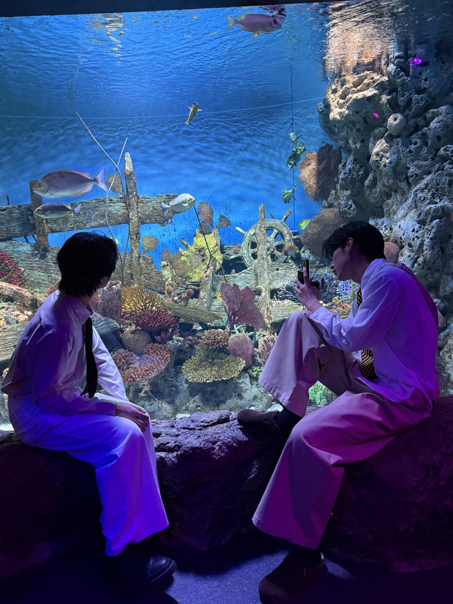 Malija06's tweet image. แบบไม่ต้องจ้าง ค่าแรงไม่ต้องมี มีแค่……..👀