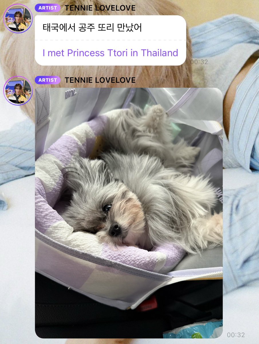 PPTT_1001's tweet image. น้องเตนล์ส่งรูปน้องโตรรี่แล้วบอกว่าได้เจอ Princess Ttori ที่ไทย เตนล์น่ารักมาก เรียกโตรรี่เจ้าหญิงตลอดเลย แล้วคือสีม่วงทุกอย่างแล้วตอนนี้ 💜