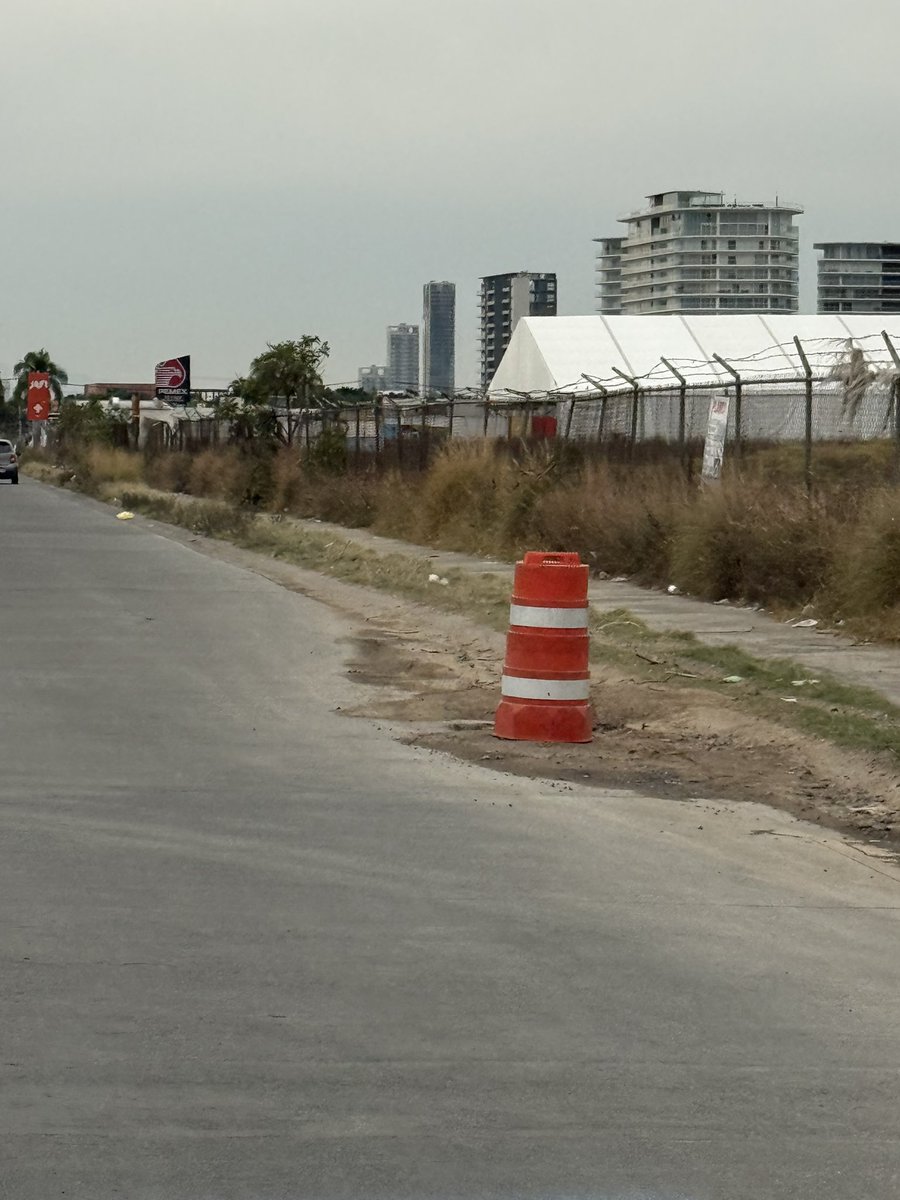 JaimedeAlba tweet media