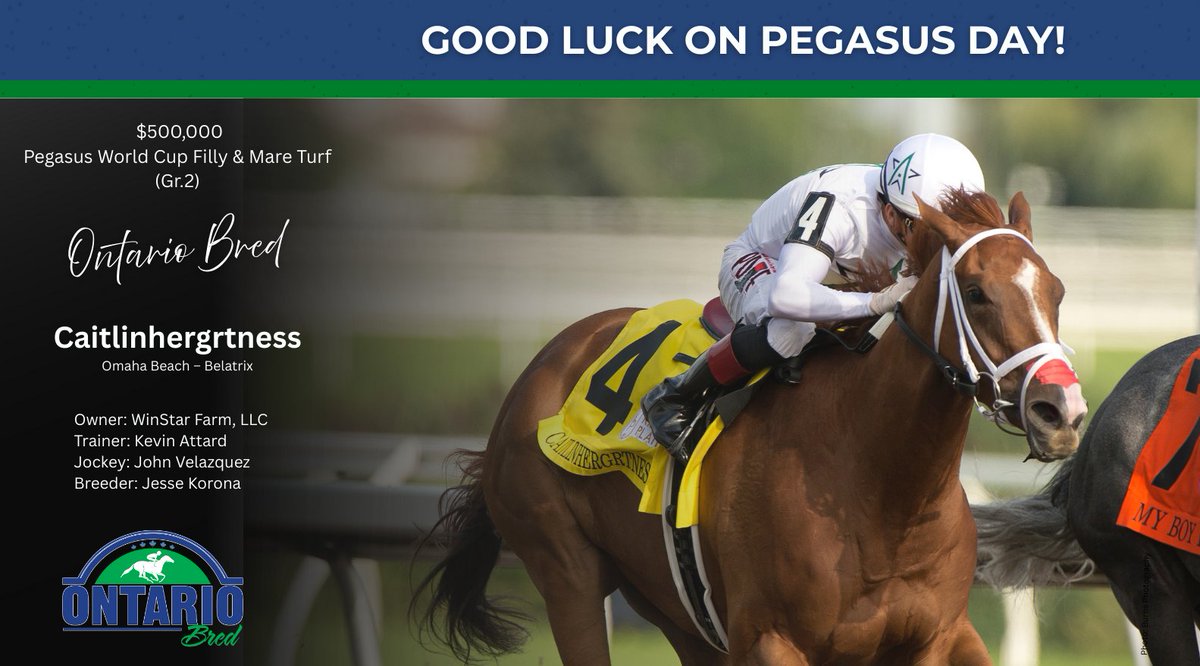 ONTRacing's tweet photo. We’re proud to cheer on four Ontario-breds competing on Pegasus Day at Gulfstream Park this Saturday!

Join us in wishing them the very best of luck on this exciting day!

@kevin_attard @markecasse @SaffieJosephJr @UlwellingRacing @WinStarFarm 

#PegasusWorldCup #HPI #betontario https://t.co/sY8c7Lt5ji