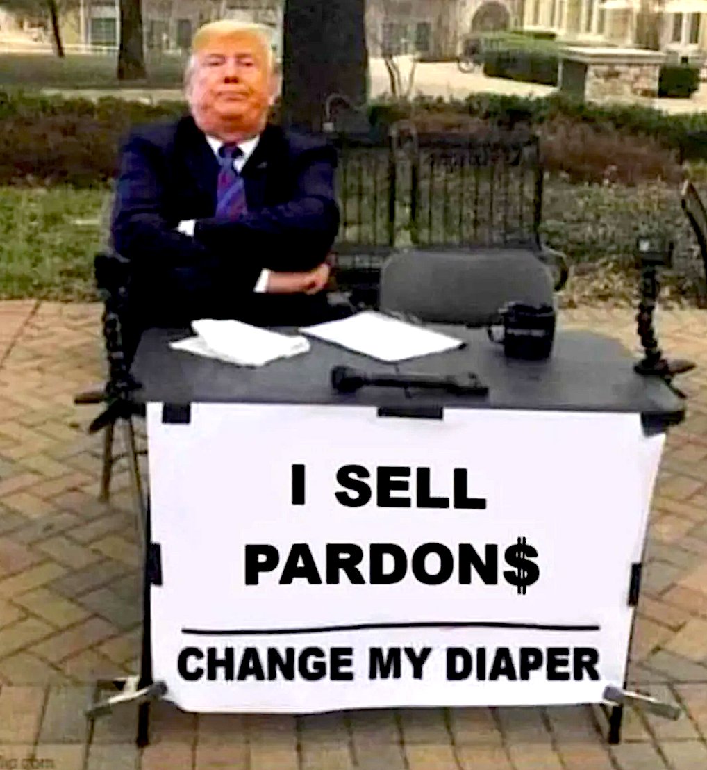 💙 Dr. MemeNstein votes 💙 BLUE 🇺🇸🦅 tweet media