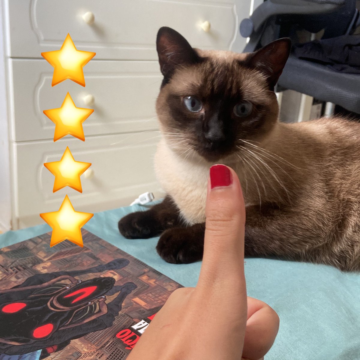 chuaneltrb's tweet photo. @derbyvalverde_ 4 estrelas porque faltou representatividade felina https://t.co/2yI6IAdyIr