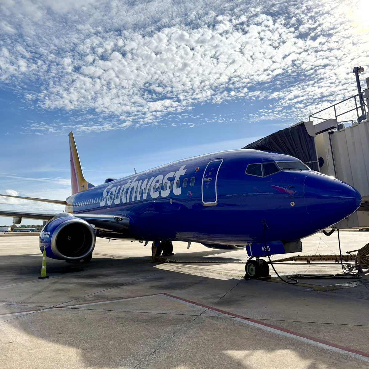 FlyTPA's tweet photo. 30 YEARS OF LUV AT TPA! ❤️ 30 years ago today, our friends at @SouthwestAir launched their first flights from TPA, so we had to celebrate this big day with a special cake. Here’s to the next 30! ✈️ https://t.co/q7mxLRZETW