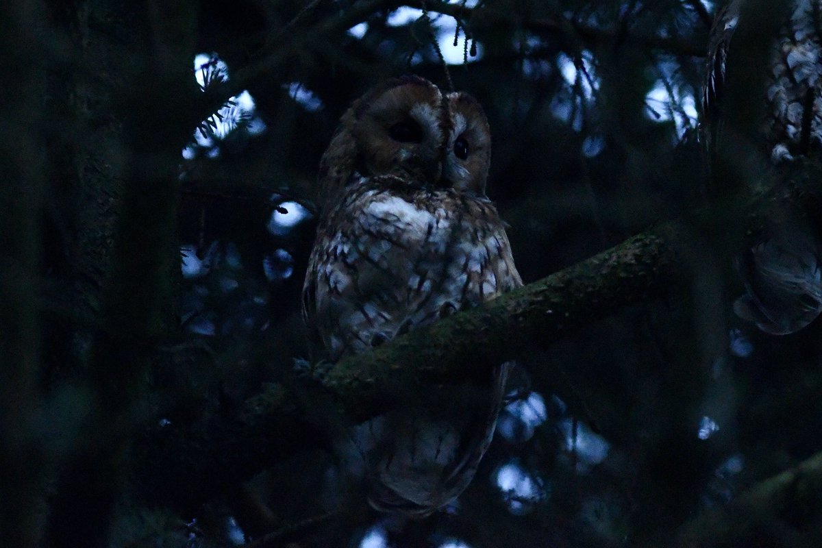 Phil Burnside tweet media