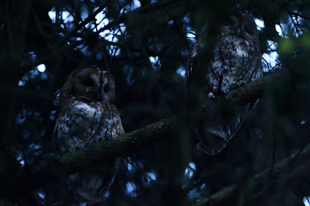 Phil Burnside tweet media