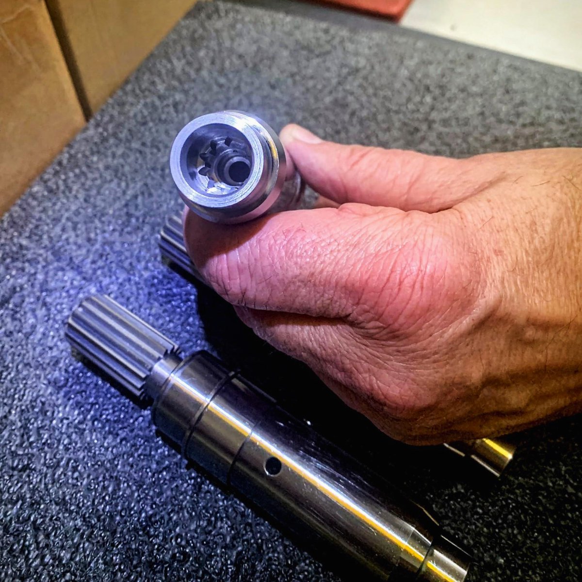 DAN_ANTONELLI tweet media