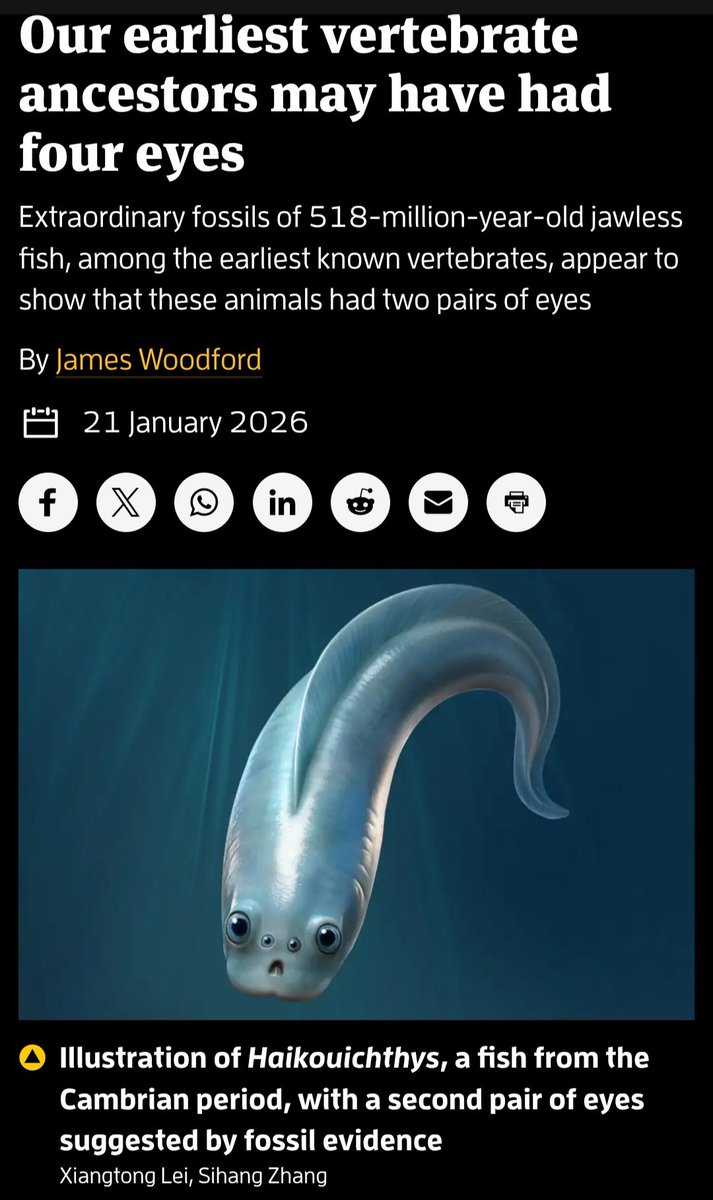 RickRaptor105 tweet media