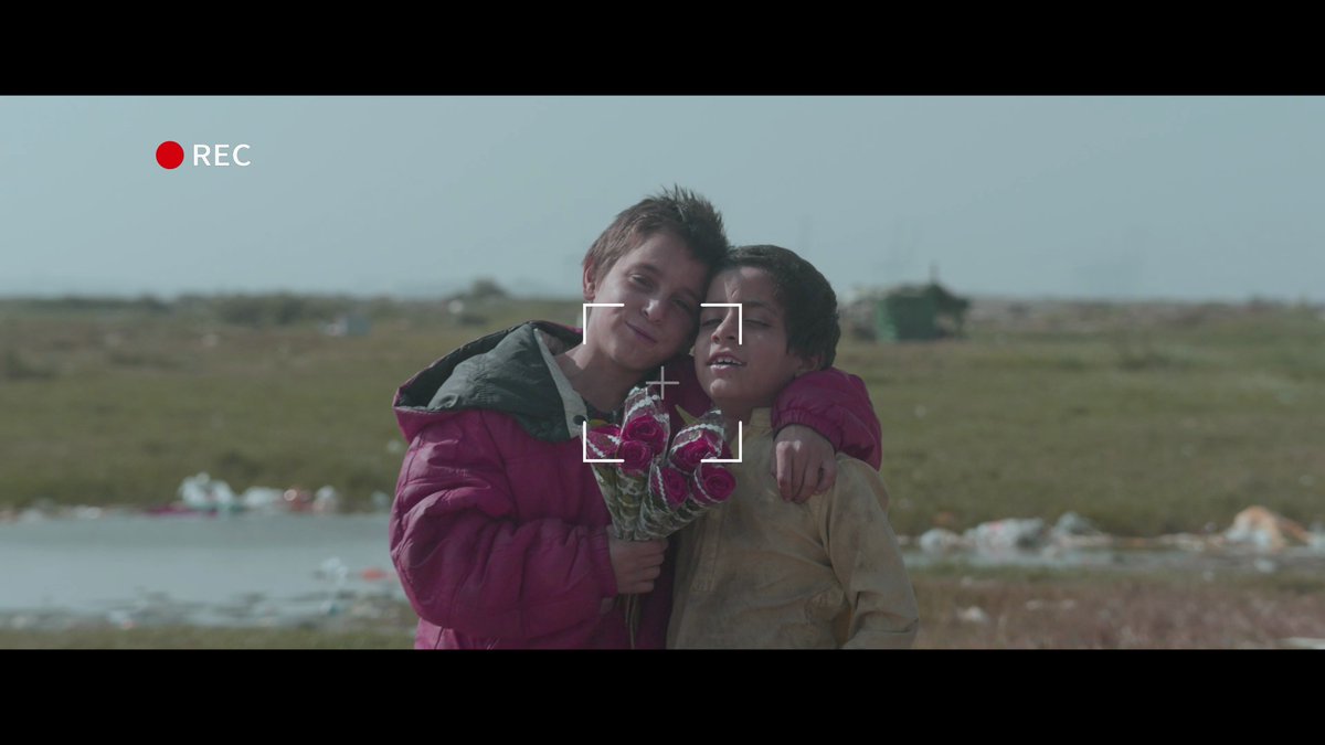 PLURAL+ Youth Video Festival tweet media