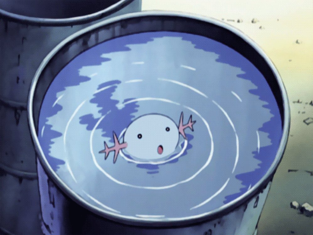 pokemon_twts's tweet photo. just a wooper swimming https://t.co/sn43um2CAg