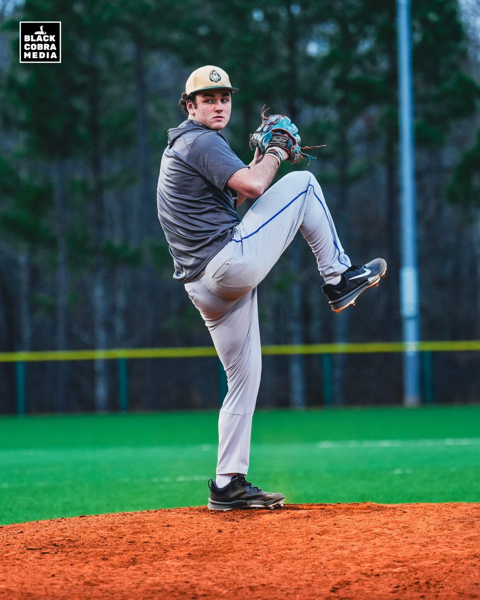 BLACK COBRA MEDIA tweet media