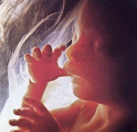 We must protect human life from conception until natural death. "And the word of the Lord came to me, saying: Before I formed thee in the bowels of thy mother, I knew thee: and before thou camest forth out of the womb, I sanctified thee, and made thee a prophet unto the nations."