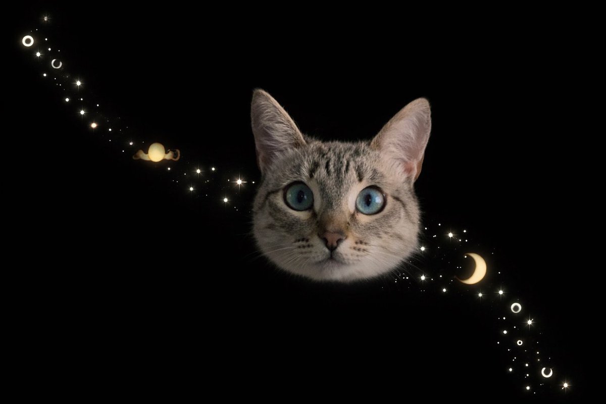 ∴｡　
　･ﾟ*｡. 
　　･ *ﾟ
　 ･ ﾟ*
     🪐     
   *･｡
      *.｡ 
           ✨
              °*. ﾟ｡
                      °*.
                      ﾟ*.
                 🌙 ･
             ｡ ･ﾟ
       ｡°*.
    ｡*･｡