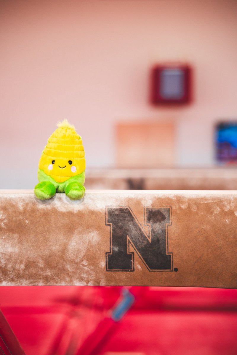 HuskerWGym's tweet image. Meet the newest Gymsker! 🌽

Come cheer us on this weekend vs. Minnesota and get your own corn plushie! #GBR