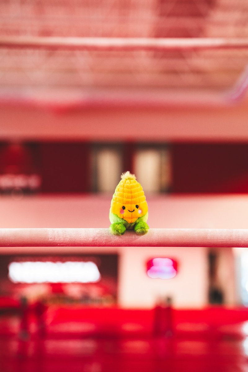 HuskerWGym's tweet image. Meet the newest Gymsker! 🌽

Come cheer us on this weekend vs. Minnesota and get your own corn plushie! #GBR