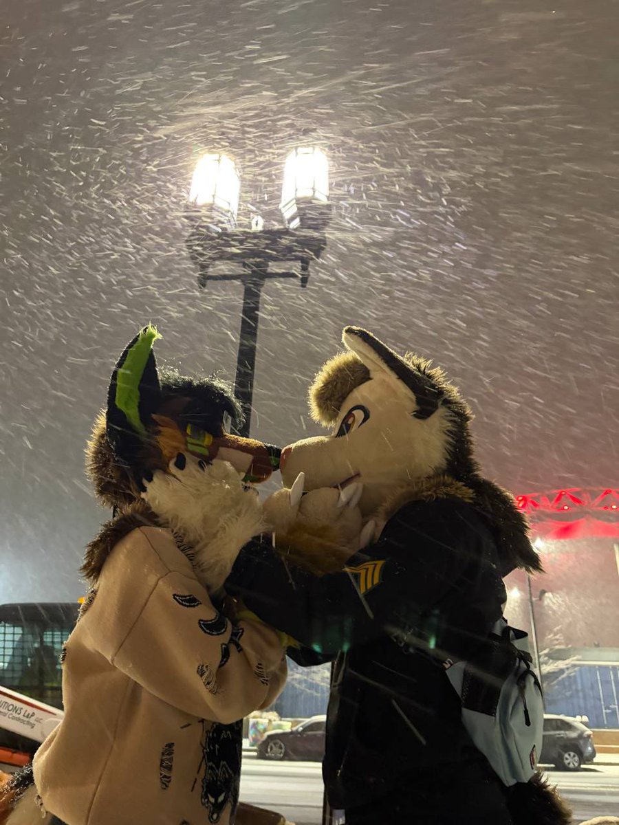 💨BONGGDAWGG💨🔜LVFC tweet media