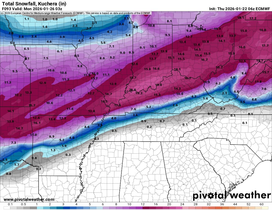 BAM Weather tweet media