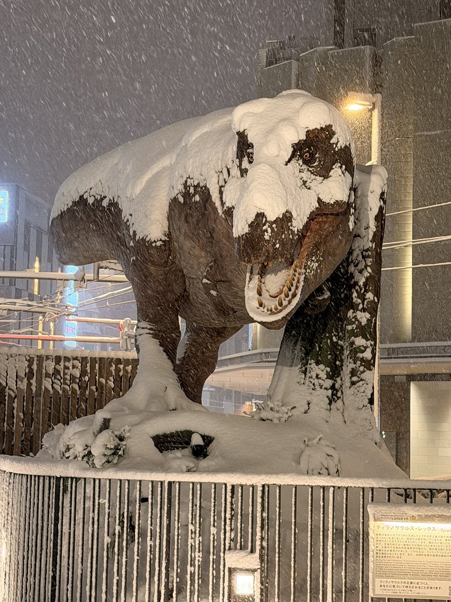 TM9380's tweet image. If you’re cold, they’re cold. Bring them inside