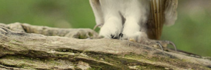 tap if you're strong enough