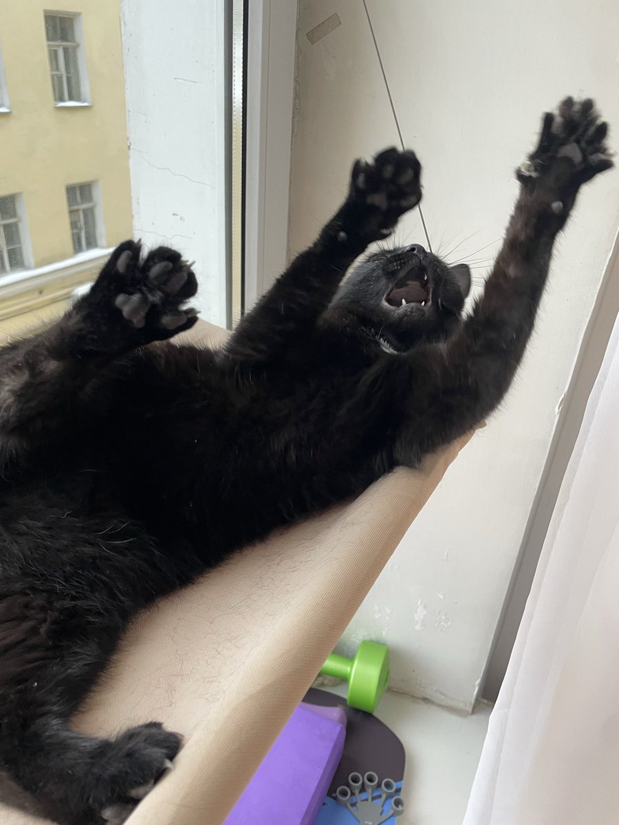 Апрелева tweet media