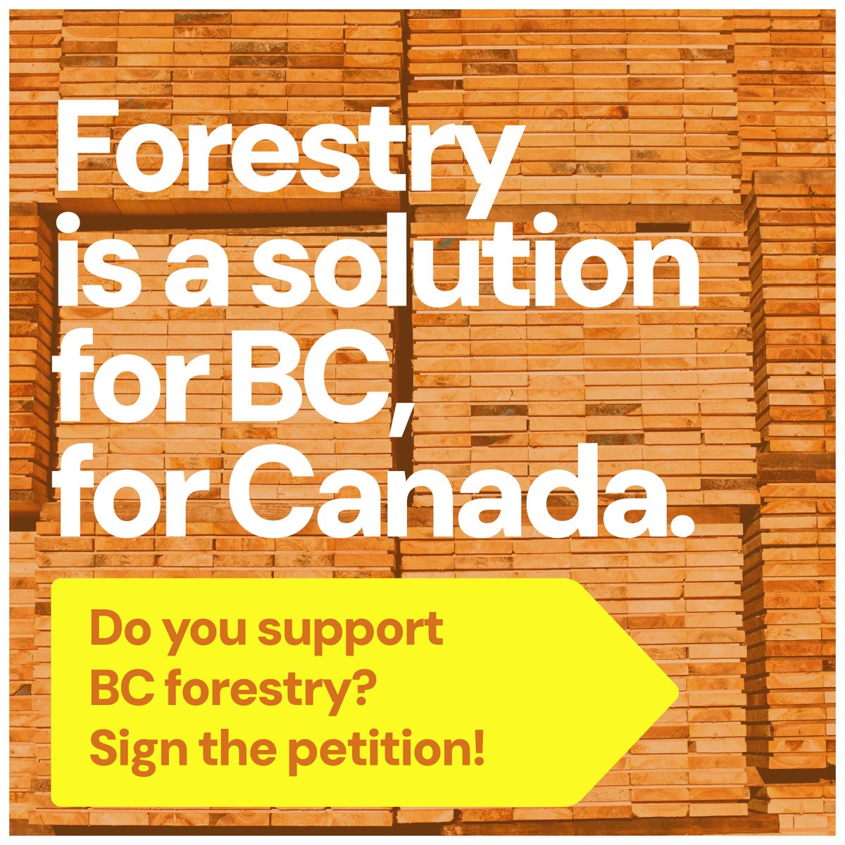 Forestry is a Solution tweet media