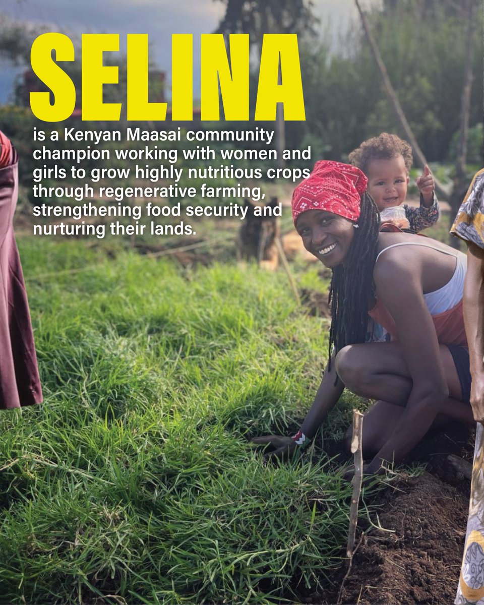 Project Dandelion tweet media