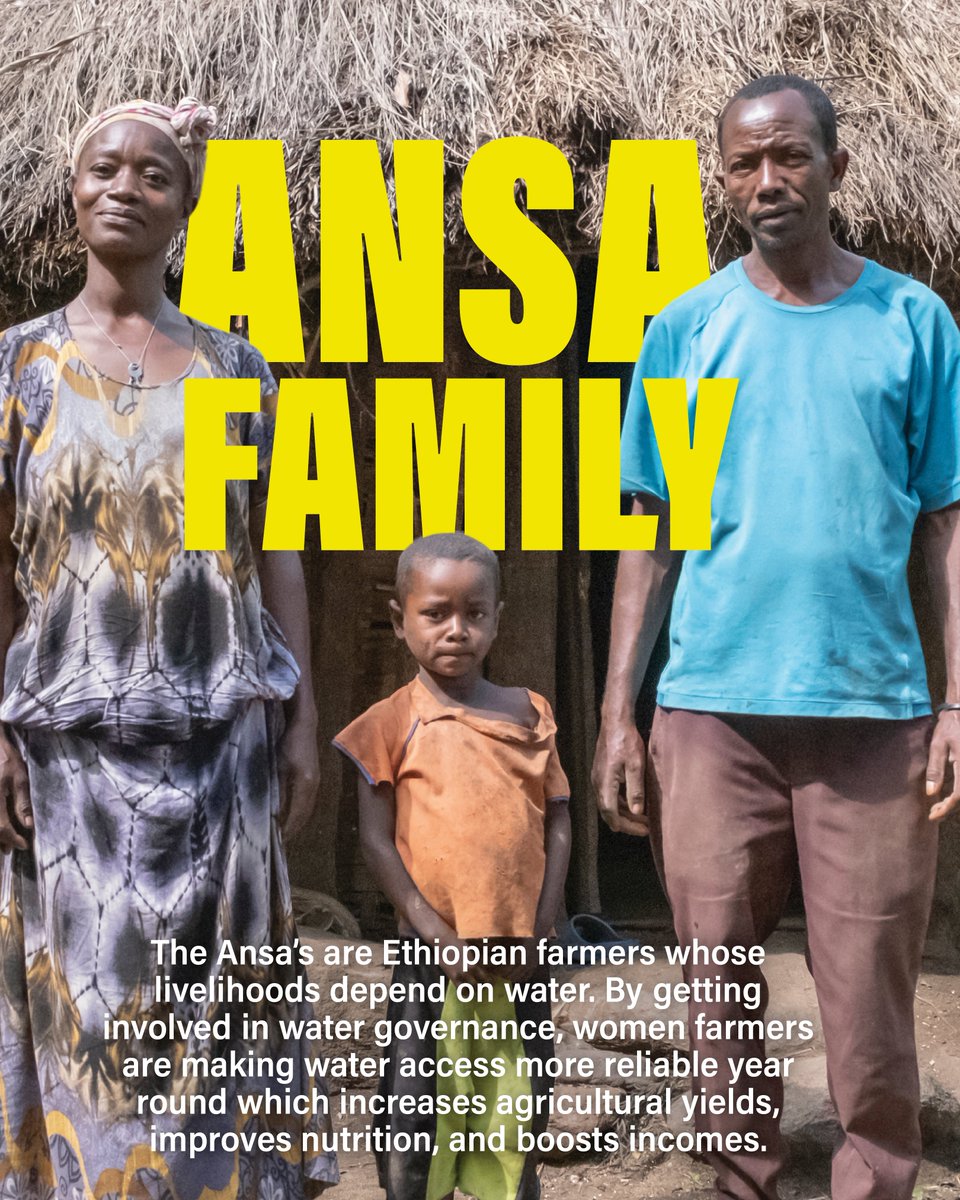 Project Dandelion tweet media