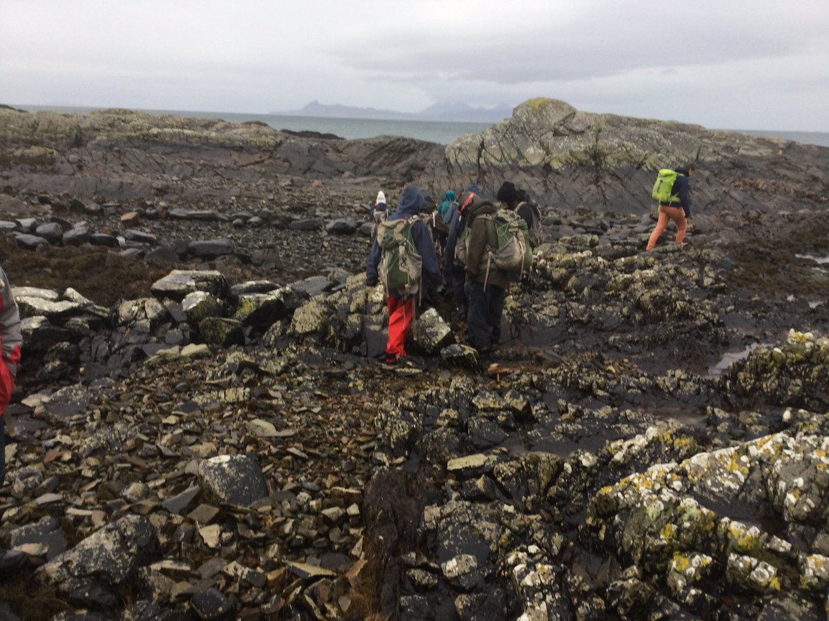 Chapelhall Primary tweet media