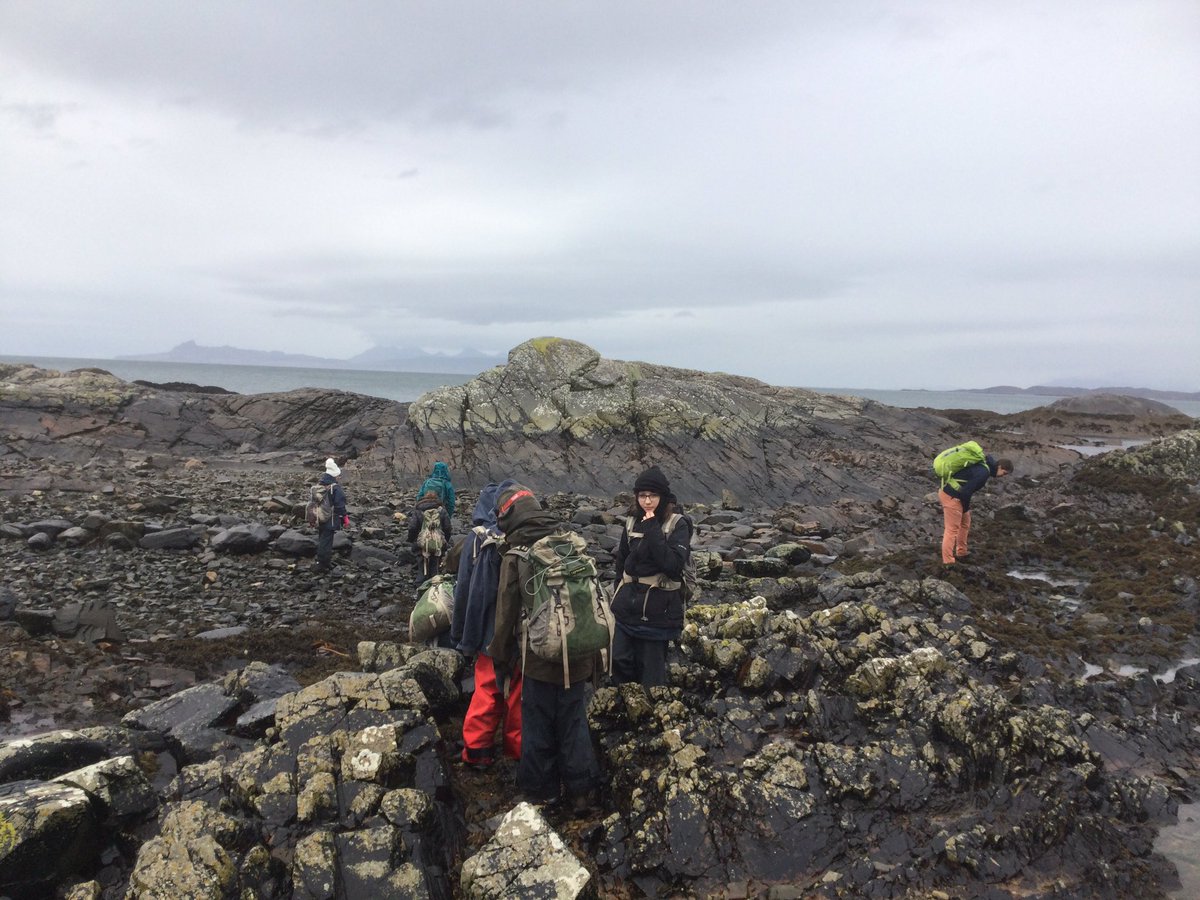 Chapelhall Primary tweet media