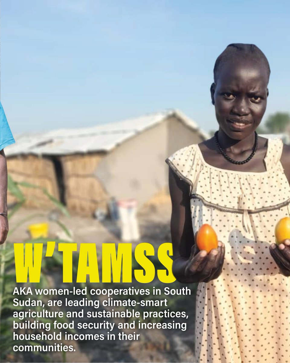 Project Dandelion tweet media