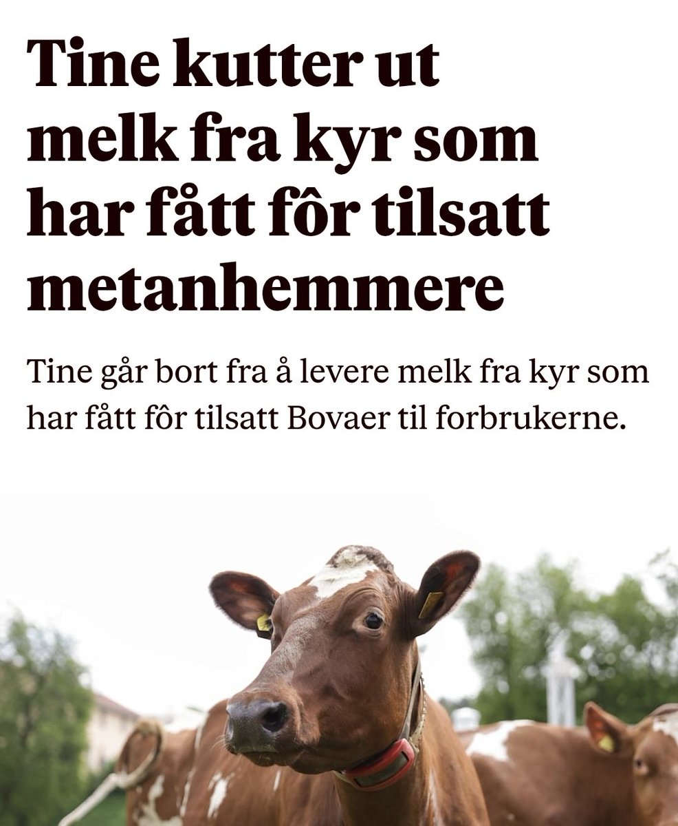 Emil Lundal tweet media