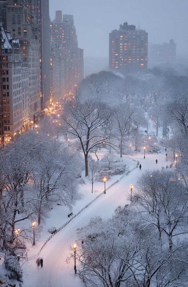 viewsoff's tweet photo. Winter in New York https://t.co/t0YjrGpGHJ