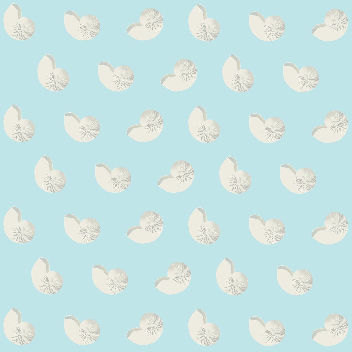 Sabine Wallner tweet media
