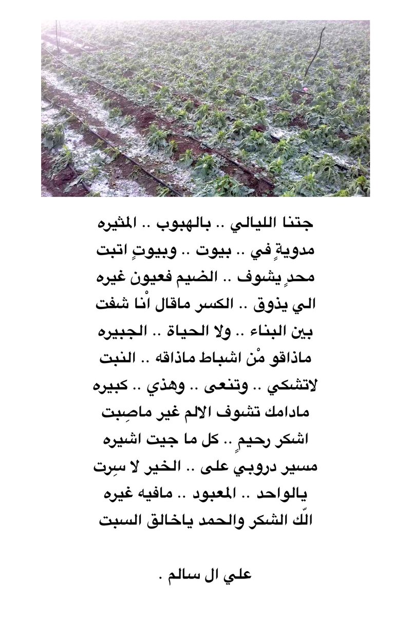 علي فهد ال سالم | AL SALEM tweet media