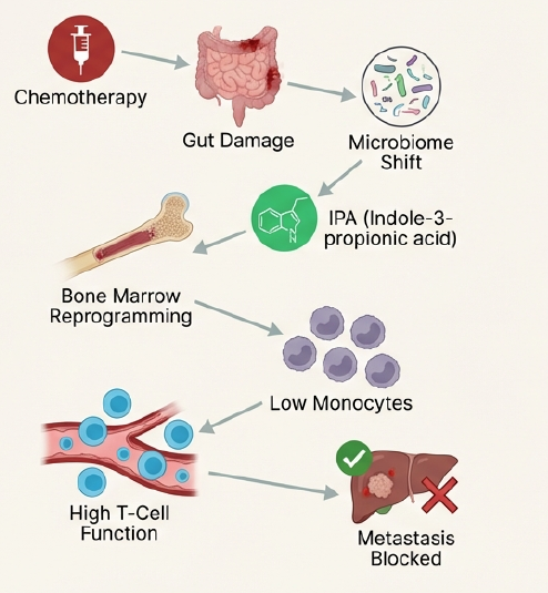 Petrova Lab – Vascular and Tumor Biology tweet media