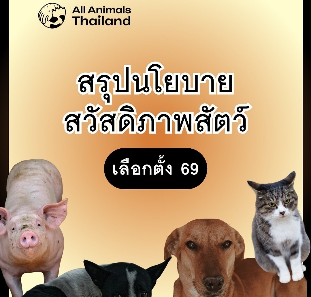 panyanotai's tweet photo. พรรคไหนไม่มี พรรคประชาชนมี!!!
😻🐶 นโยบายสวัสดิภาพสัตว์ ทั้งสัตว์เลี้ยง สัตว์ป่า สัตว์ฟาร์ม สัตว์จร
>>แถมหัวหน้าพรรคยังกินมังไปอีกกก 🌱
-
พรรคอื่น ๆ ดูที่โพสต์ต้นฉบับได้เลยจ้า
#พรรคประชาชน https://t.co/zeXDIZmWyr