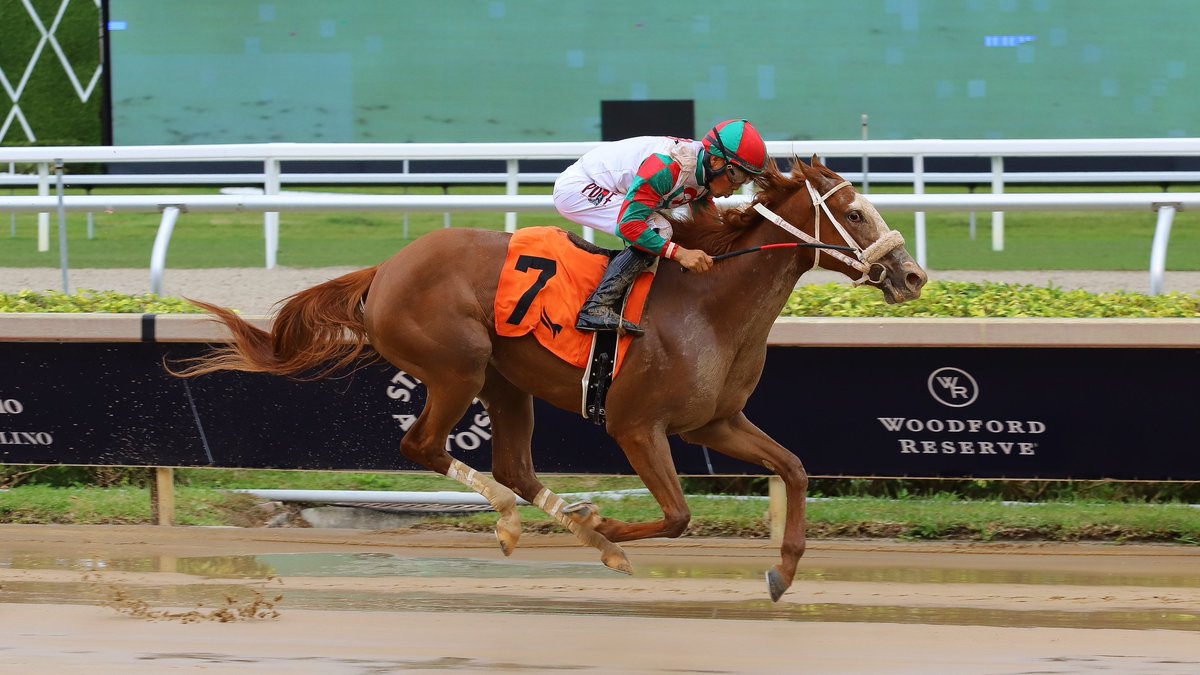 Gulfstream Park tweet media