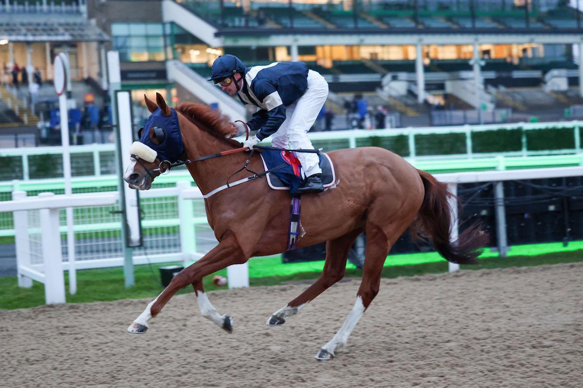 Edward Bethell Racing tweet media