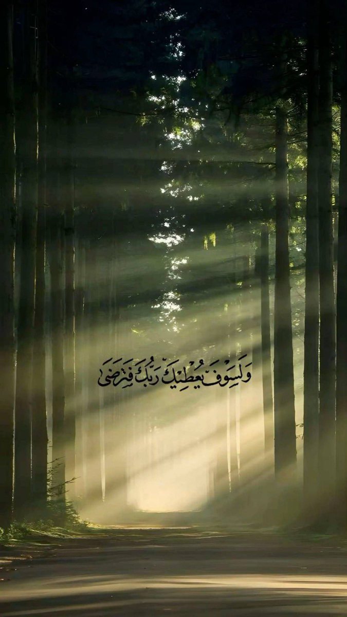 ill2ie's tweet image. 