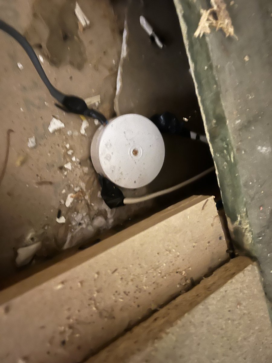 Andrew 🇬🇧🏴󠁧󠁢󠁥󠁮󠁧󠁿 tweet media