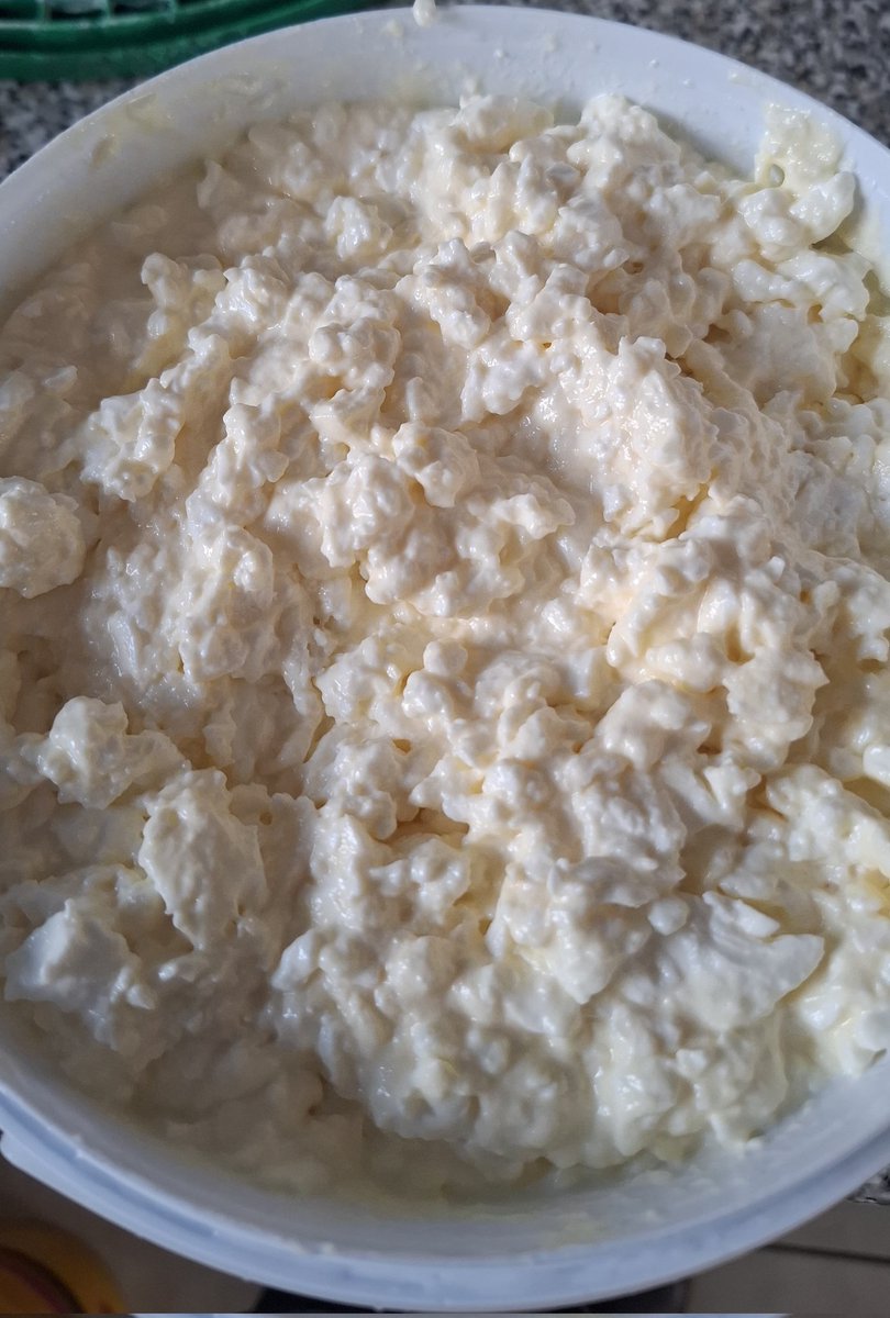 🇸🇿💟✨
Mid Jan 26"