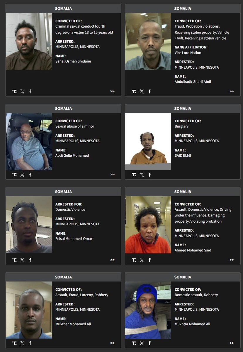 Somalis deported thanks to Nick Shirley and his boomer deputy.