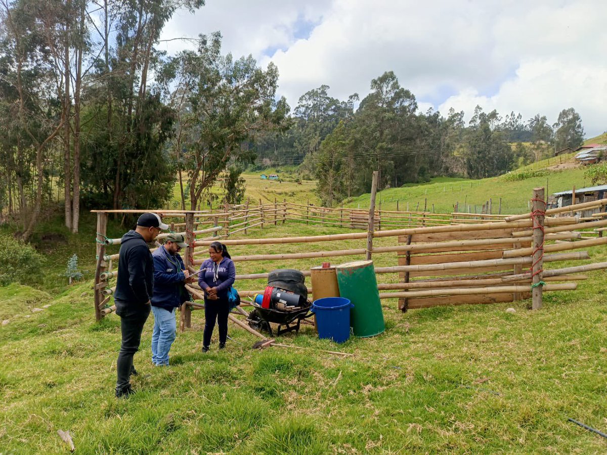 AgrocalidadZ6's tweet photo. #Cañar | 🐂 🔍Ejecutamos inspección de medidas de bioseguridad para corridas taurinas y escaramuzas, con la finalidad de otorgar los permisos de funcionamiento; garantizando el cumplimiento de la normativa vigente.
#PrevenciónSanitaria https://t.co/8NJurXuCUu