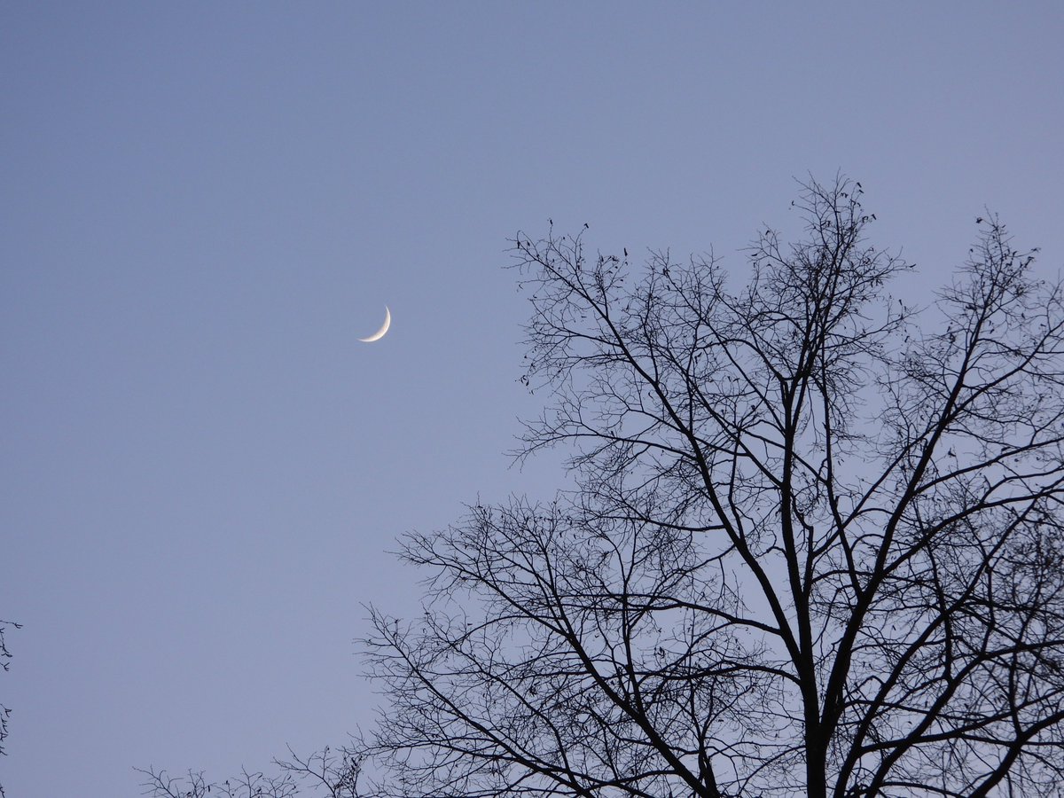 lakazel's tweet image. #waxingcrescent #moon Heute war es wieder wunderschön mit dem moonlight! 🌙 Er schaukelt und schaukelt und steigt immer höher!😃
