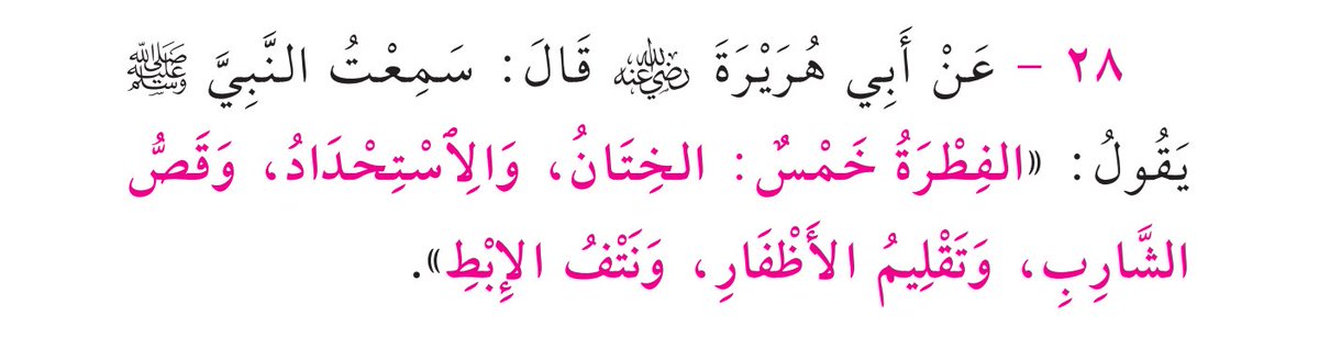 thekranafea's tweet photo. #متفق_عليه
#عمدة_الأحكام
#ذكرى https://t.co/2FbudkXwhU
