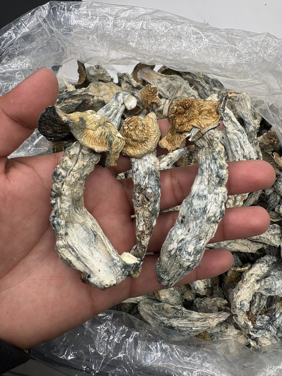 DoughboyHtx tweet media