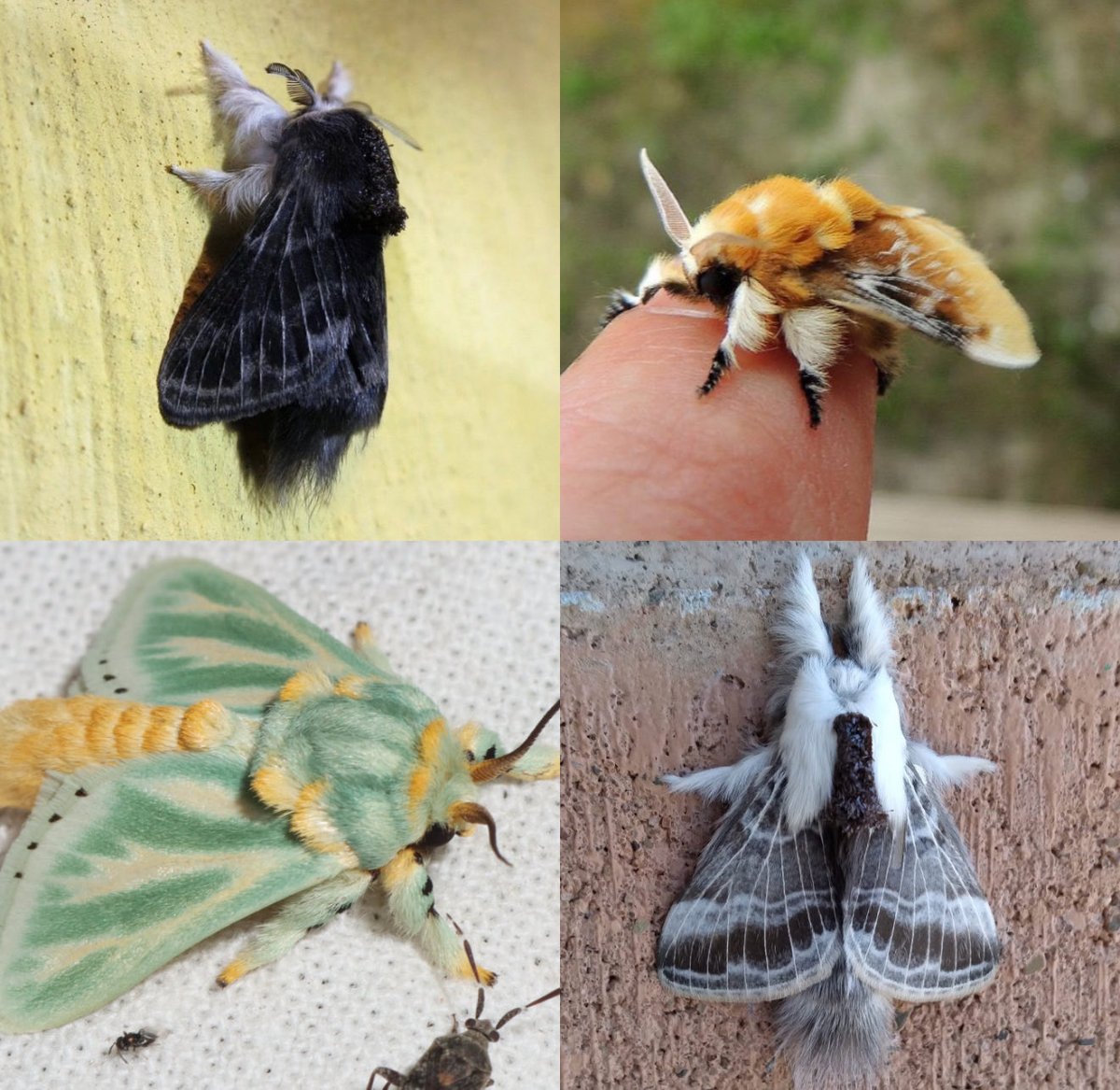 𝕁𝕁 tweet media