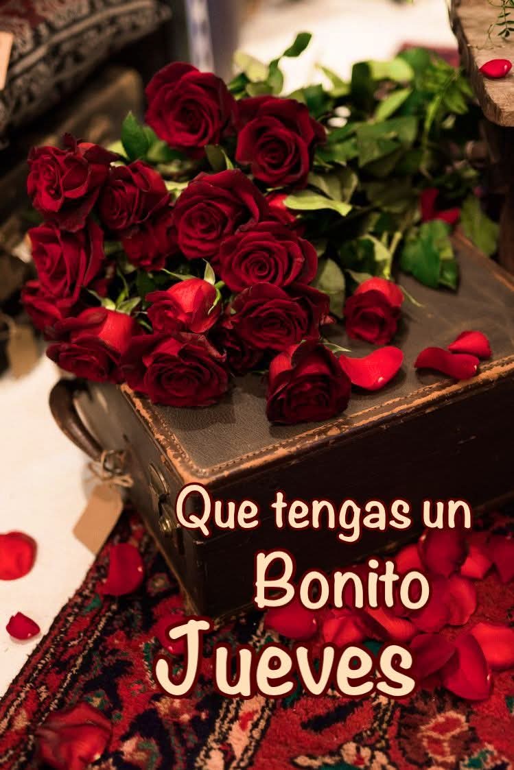 HigaredaLulu's tweet photo. 🌺❤️🌿🌹 Bonita tarde 🌺❤️🌿🌹🌺❤️🌿🌹🌺❤️🌿🌹🌺❤️🌿🌹🌺❤️🌿🌹🌺❤️🌿🌹🌺❤️🌿🌹🌺❤️ https://t.co/W1T5aJEnHr