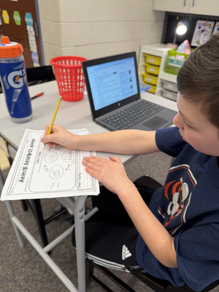Researching the life cycles of our animals